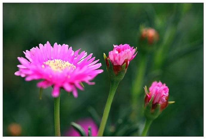 教育部宣布足球进入中考考核项目,足球真的被纳入考试项目吗