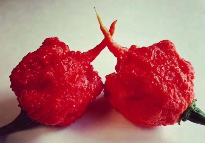 四川吃最辣住最好的肛肠医院,吃最辣的火锅住最好的肛肠医院