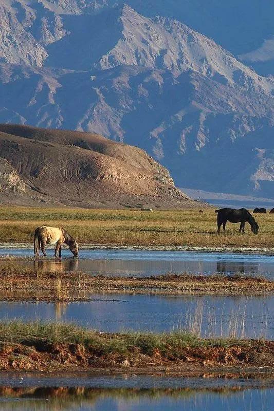 阿里景点攻略大全最新图片,阿里的旅游景点有哪些