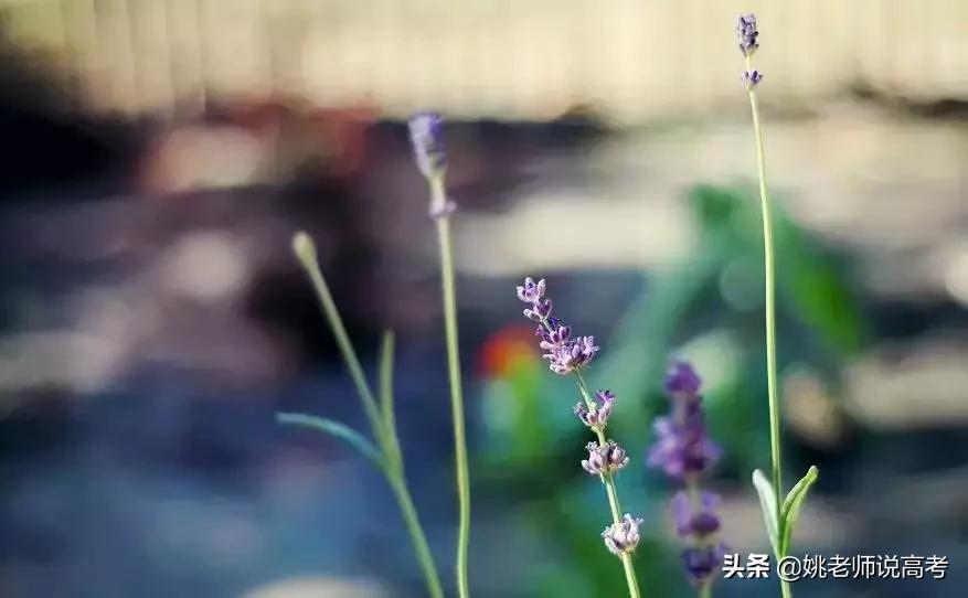 距离高考已经过去100天,距离高考仅剩29天图片