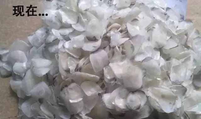 在上海一个月工资两万什么水平,月薪不过3万的看过来