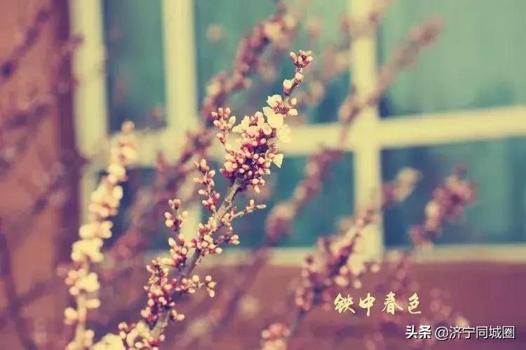 鍏栧窞閾佷腑鍘嗕换鏍￠暱,鍏栧窞閾佷腑93灞婃瘯涓氱収