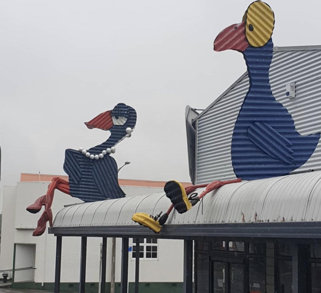 看了就想养的宠物,看了就想养宠物的视频