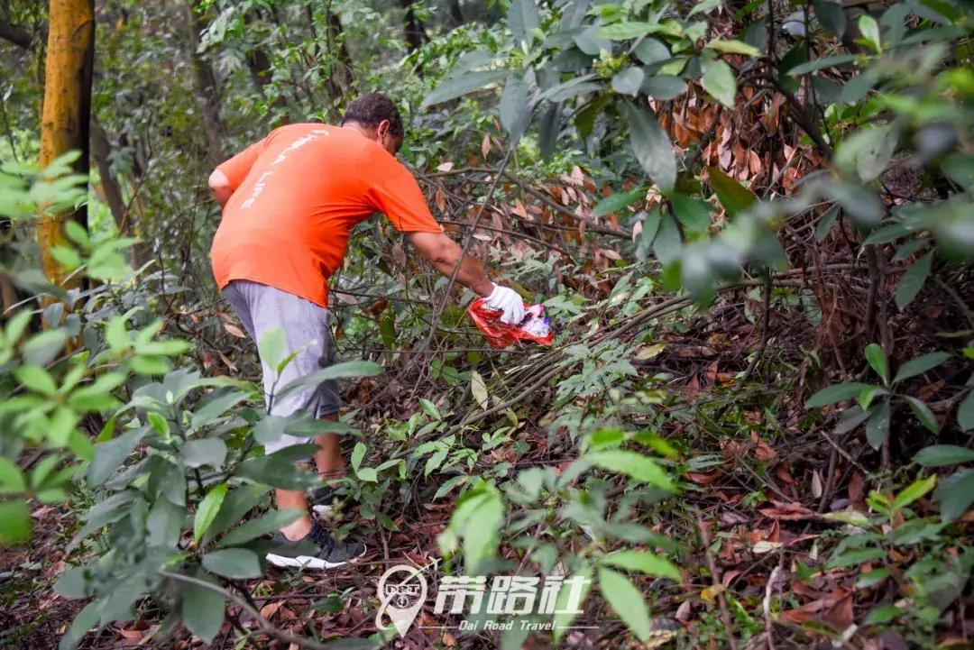 绿色环保行动实践活动总结,用行动践行绿色环保理念