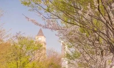 杭州湾港中旅锦绣东方小区实景图,港中旅锦绣东方图片