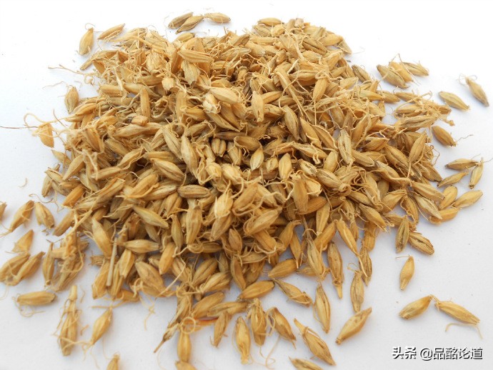 涓嶇敤鑷涔熷彲浠ョ粌钁佃姳瀹濆吀,涓嶇敤鑷缁冩垚钁佃姳瀹濆吀鐨勪汉