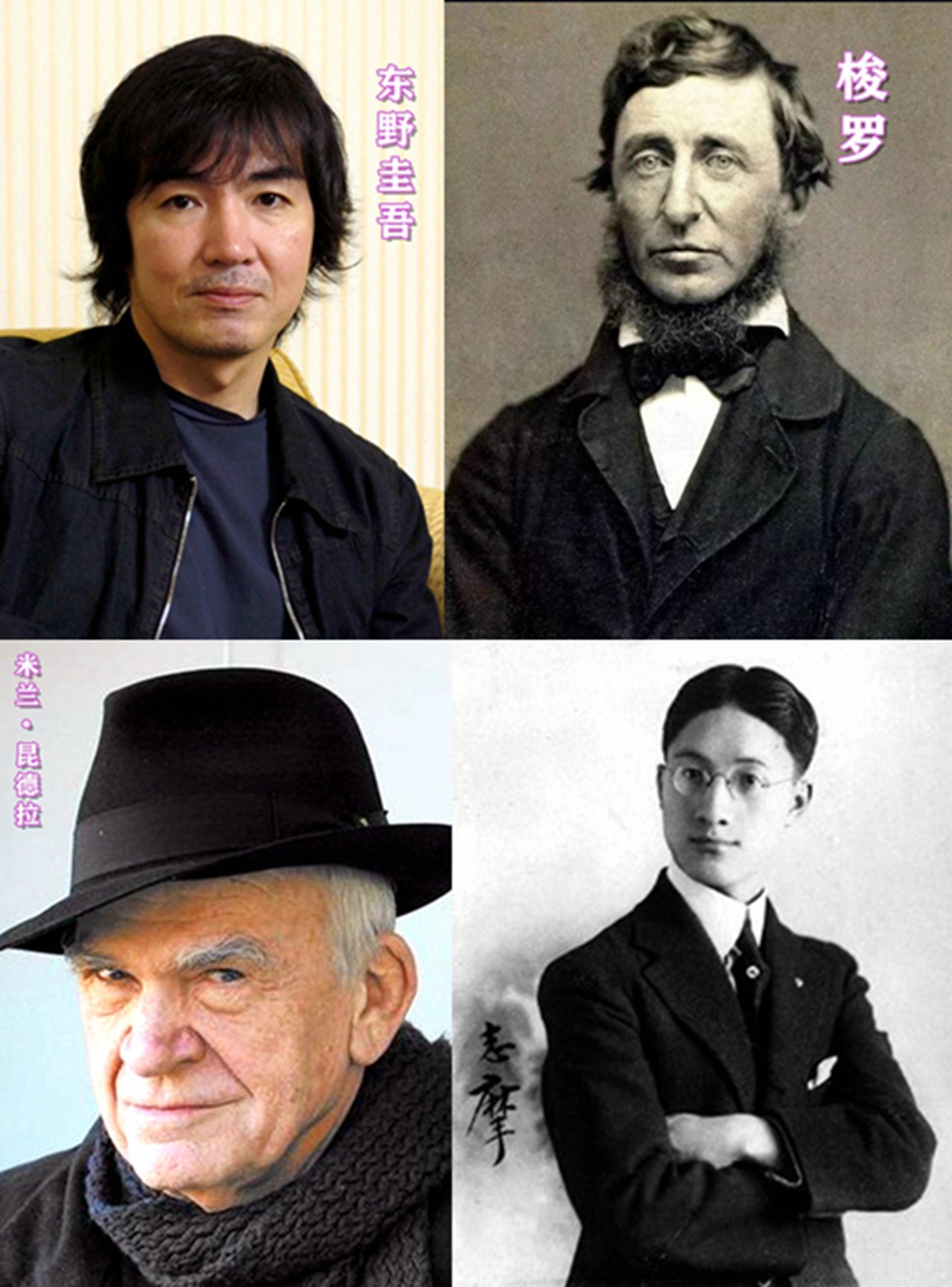 王晓晨绝世而独立,王晓晨是多少男人心中的女神