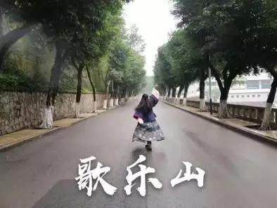 我选择法学专业的理由,武大法学保研