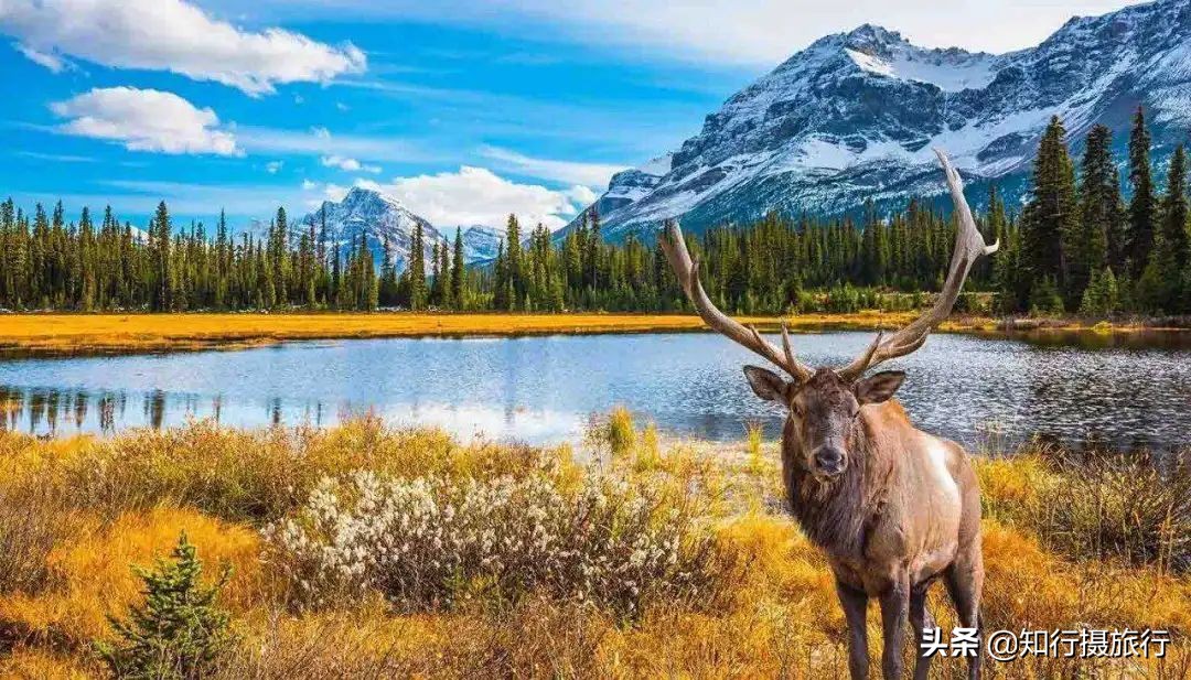 加拿大旅行41个最佳标志性景区目的地推荐攻略