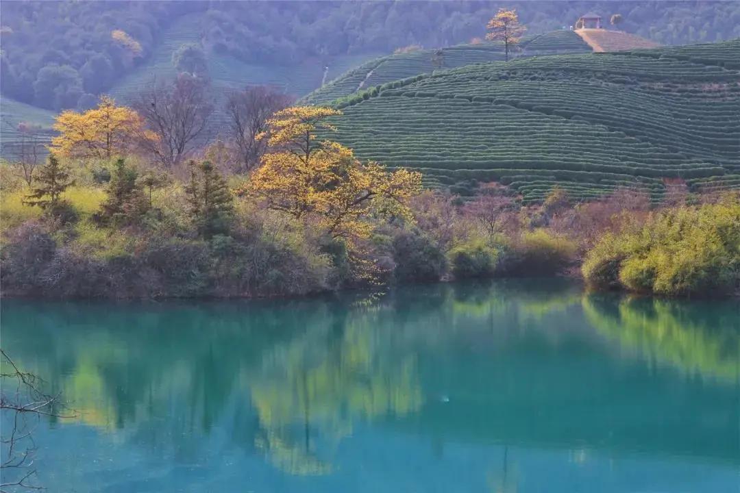 五一杭州游玩大集合,杭州景点攻略大全一日游