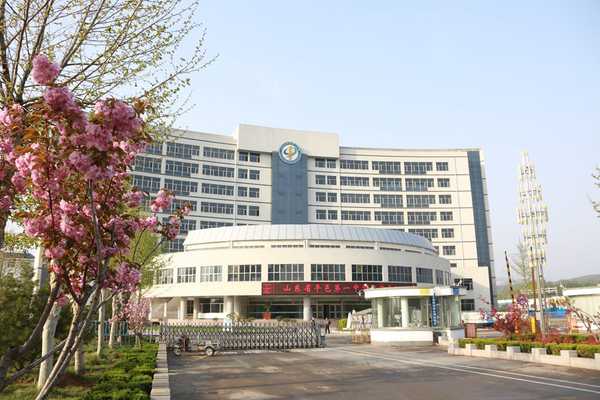 临沂最牛学校,临沂一中北校和临沂四中哪个好