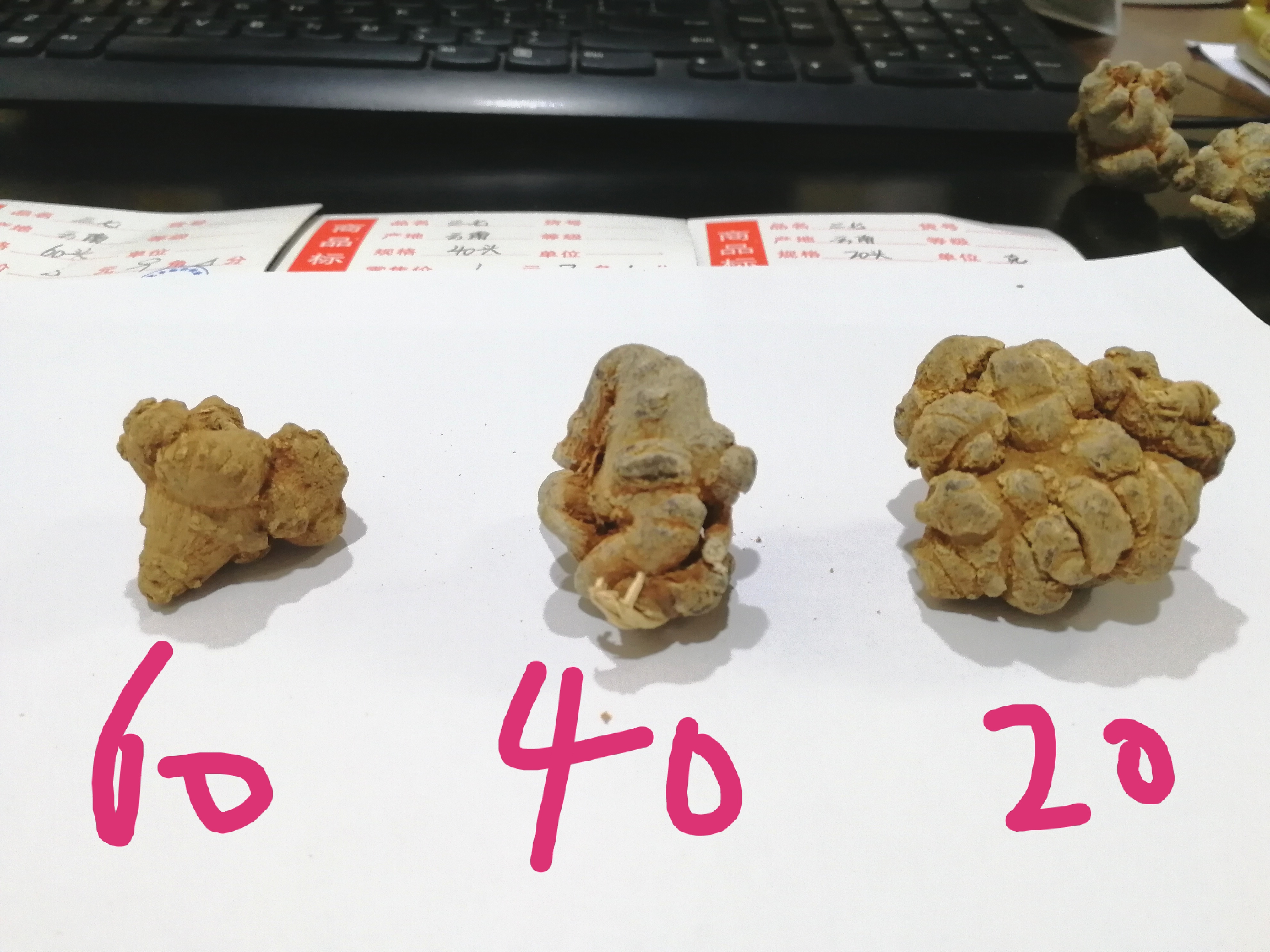 三七每日用量,文山三七粉每日用量