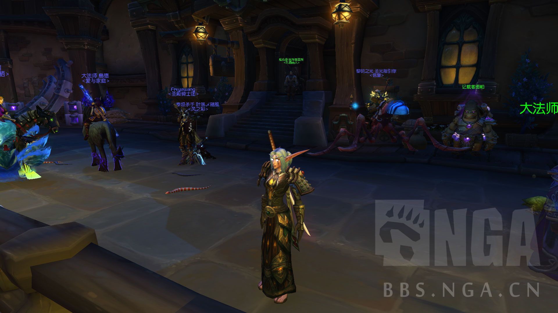 魔兽世界暗夜精灵板甲幻化,女暗夜精灵猎人板甲幻化大全