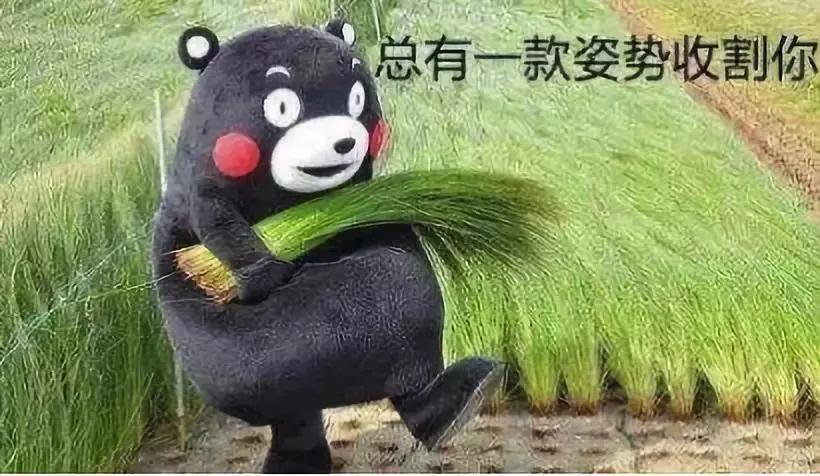 赚钱的本质套路：上层玩金融（上）