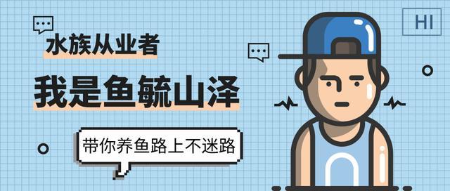 1.2米闽江底滤鱼缸滤材摆放三格,底滤鱼缸不排水怎么办