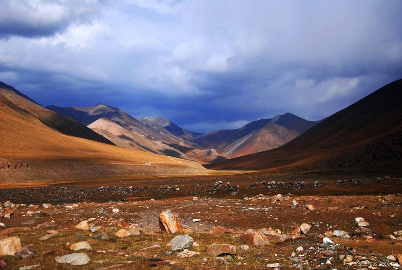 狼c调简谱教唱,狼c