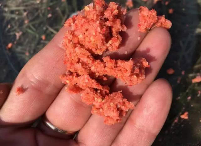 外国人用奇葩假饵钓鱼,国外钓鱼用什么假鱼饵好