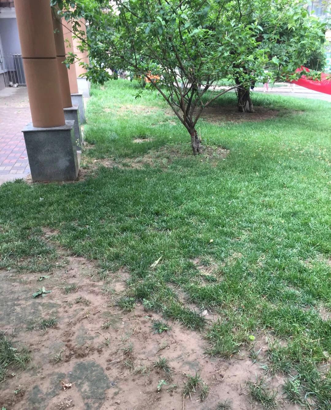 长安新区房子哪个楼盘好,长安区十大好楼盘