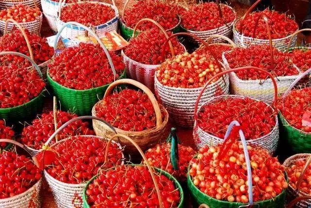 西安周边现在哪的樱桃成熟,西安摘樱桃好去处有哪些