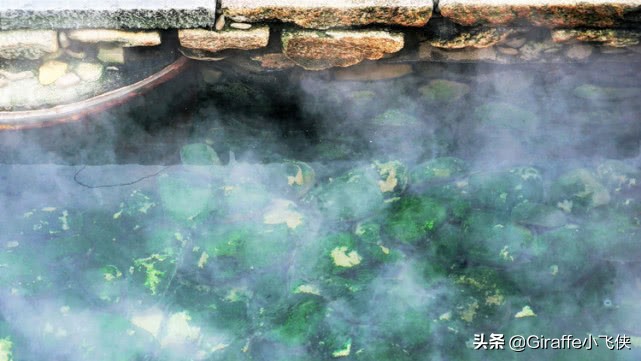 小苑温泉民宿宜春,江西宜春富硒温泉民宿