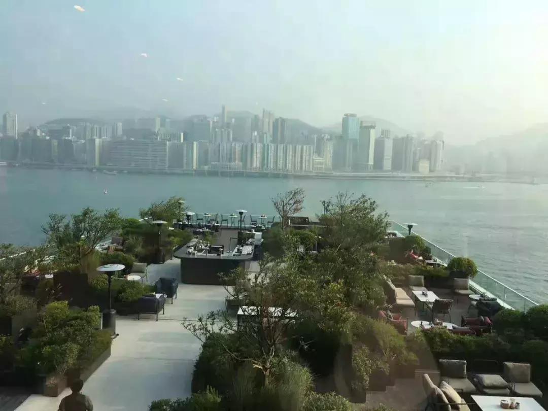 美宝在香港更换旅行证,美宝旅行证香港换发