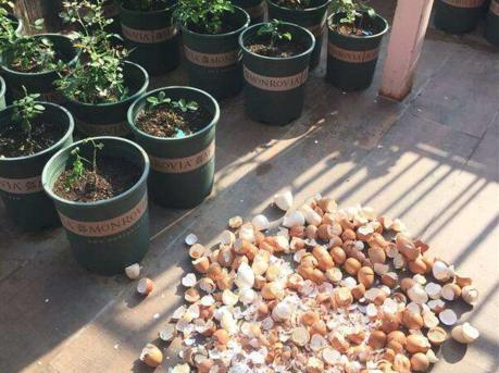 家家有的废旧物品,家家都能做的废物利用小制品