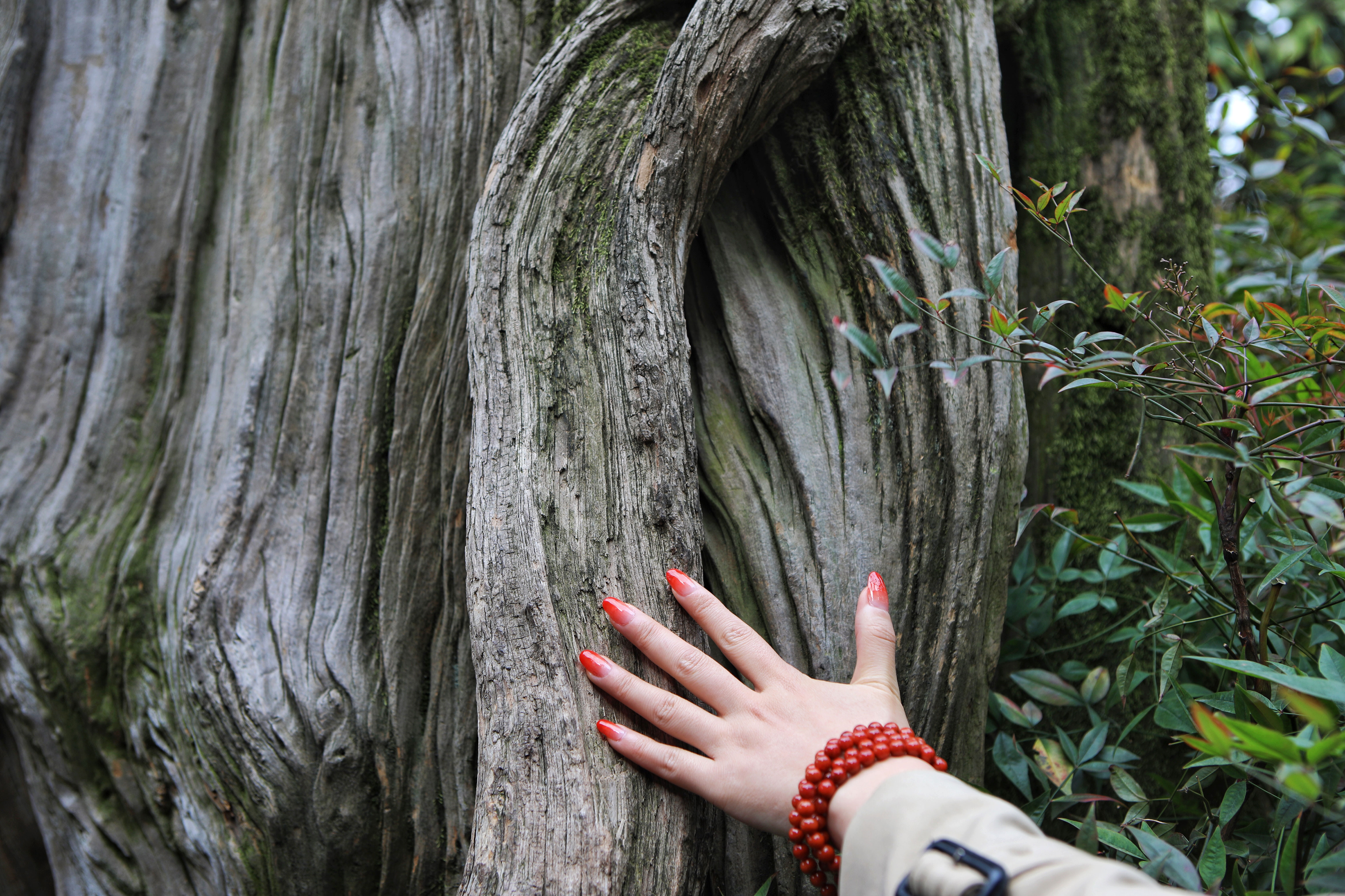 扬州是座怎样的城市,扬州这个城市真的很适合生活