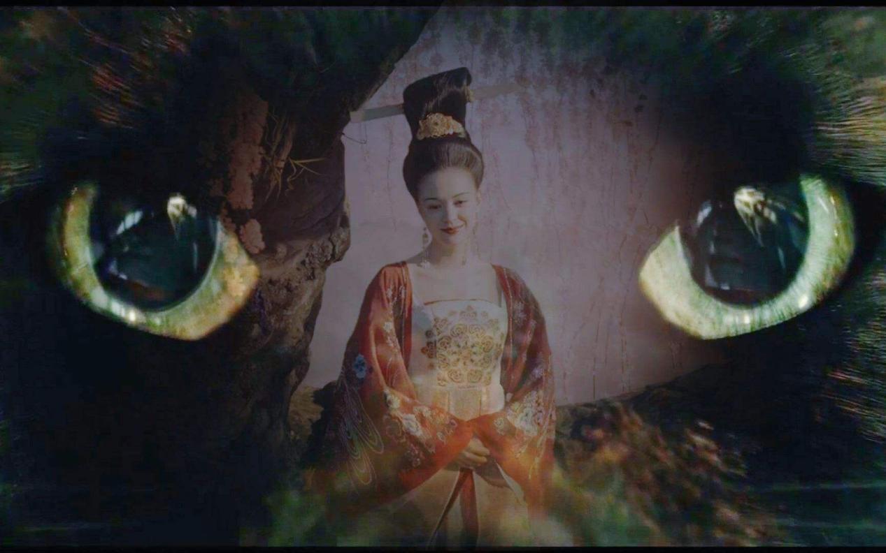 为什么养不好小猫咪呢,养了一年的小猫咪野性还是挺强