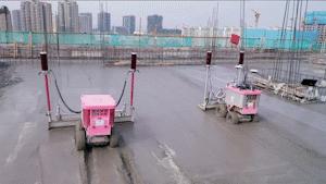 博士生干建筑工,博士去高校当实验员