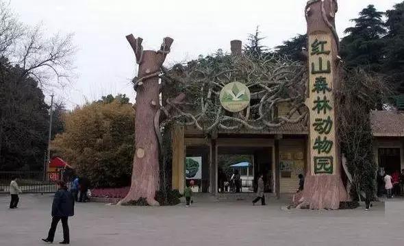 曾经的南京的迈皋桥,迈皋桥的回忆