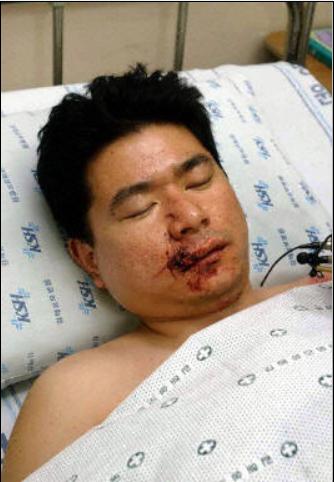 火凤凰用飞机炸毁红箭旅,火凤凰劫飞机