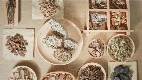 中医发展之路探析,中医药现代化之路