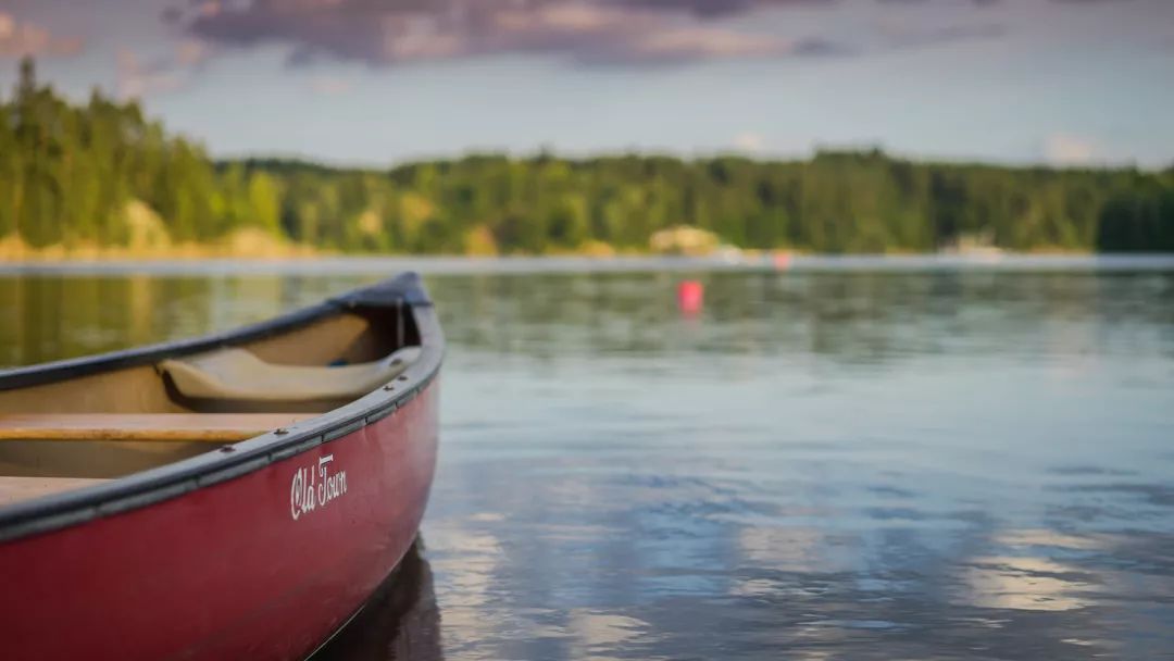 怎么看队友淘汰了几个人,将被淘汰的职业