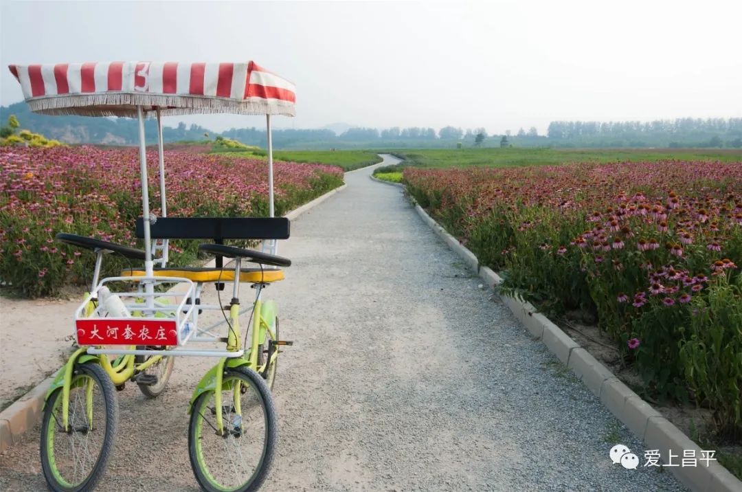 夏日京郊高端民宿,清爽到极致的民宿