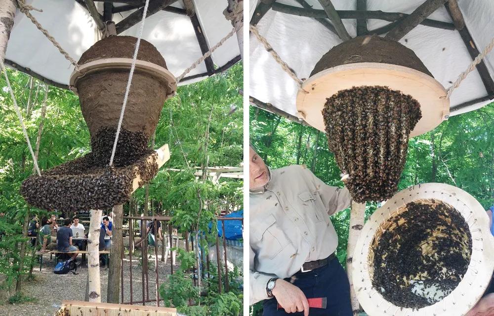 农庄餐饮怎么经营赚钱,怎么经营农家乐卖菜生意