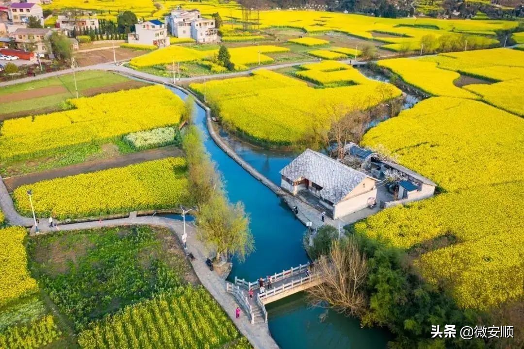 你好！我叫安顺，这是我2021最新简历