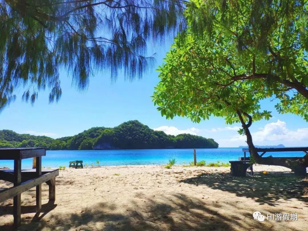 帕劳海底世界美人鱼,美人鱼和帕劳