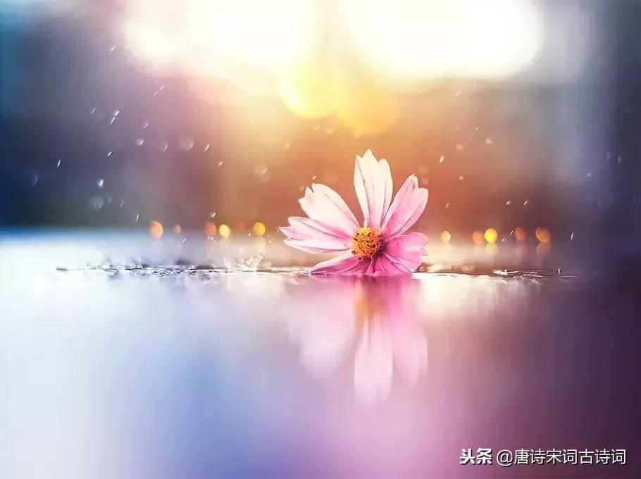 快乐是什么最有诗意的30个答案,如何用古语回答快乐的感受