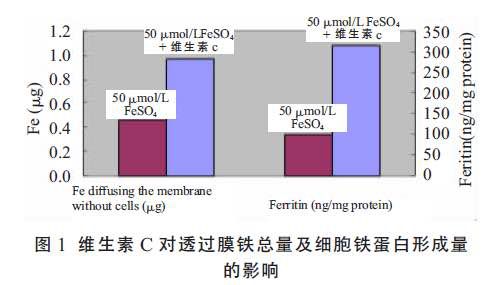 我每年砸5万块护肤，这款100不到的保养神器，停产我绝对会疯