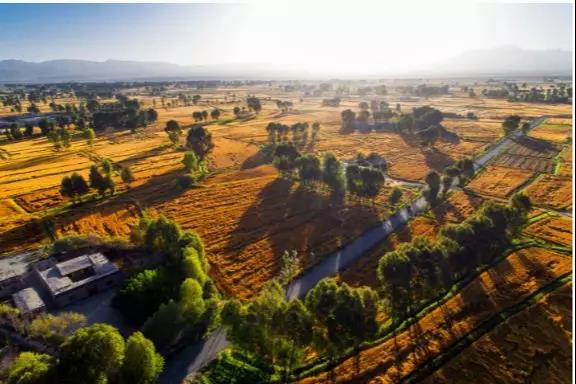 散文‖大哉玉门/甘肃酒泉夸父/世纪阅读