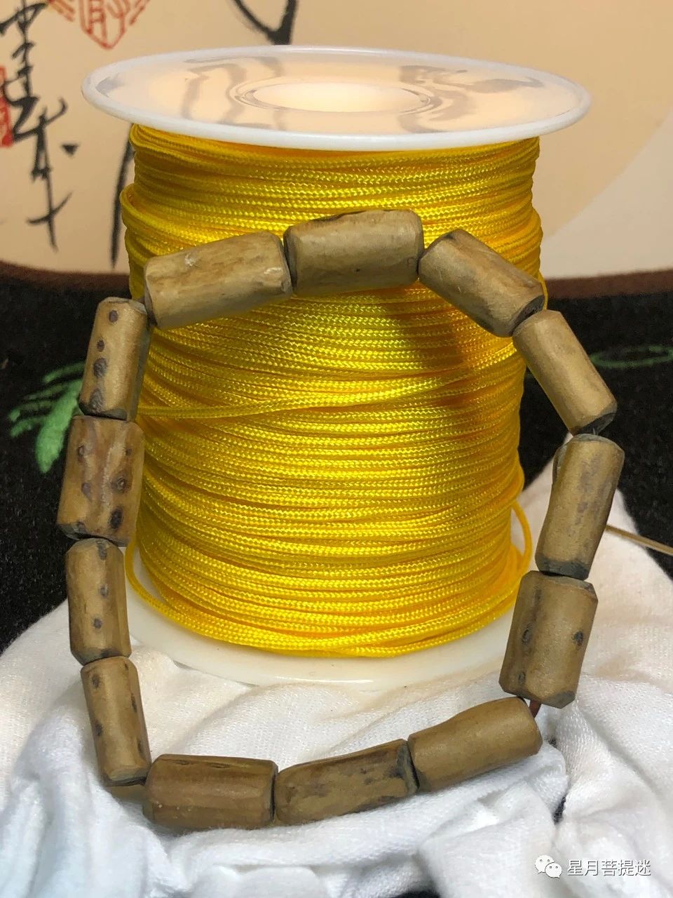 海柳木怎么鉴别,海金柳怎么辨别真假