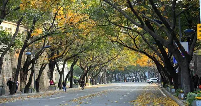 求精中学读书体验,求精中学好吗