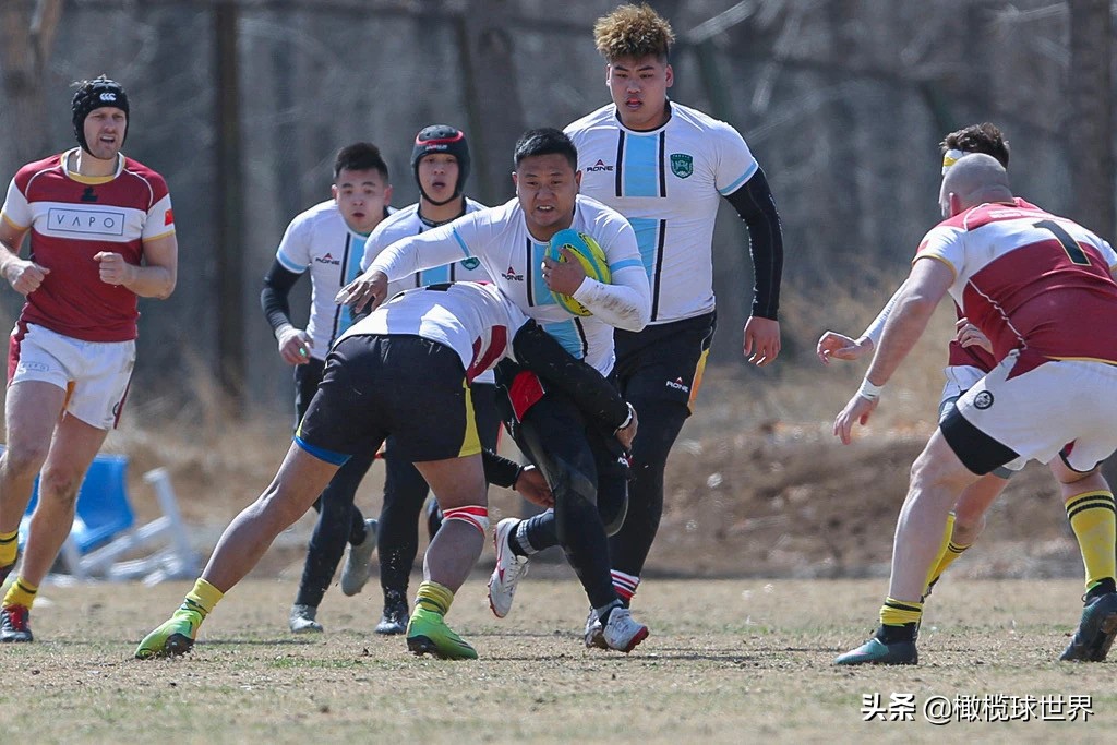 英式橄榄球今日赛程,2023年英式橄榄球中日韩青年比赛