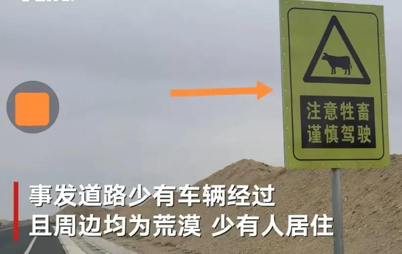 长贵悼念于月仙,于月仙长贵一起走了