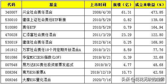 esg基金是什么意思,esg基金哪只最好