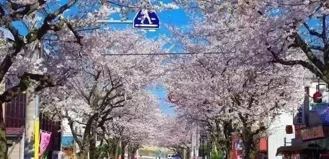 东京23区，你对哪个区最有好感呢？