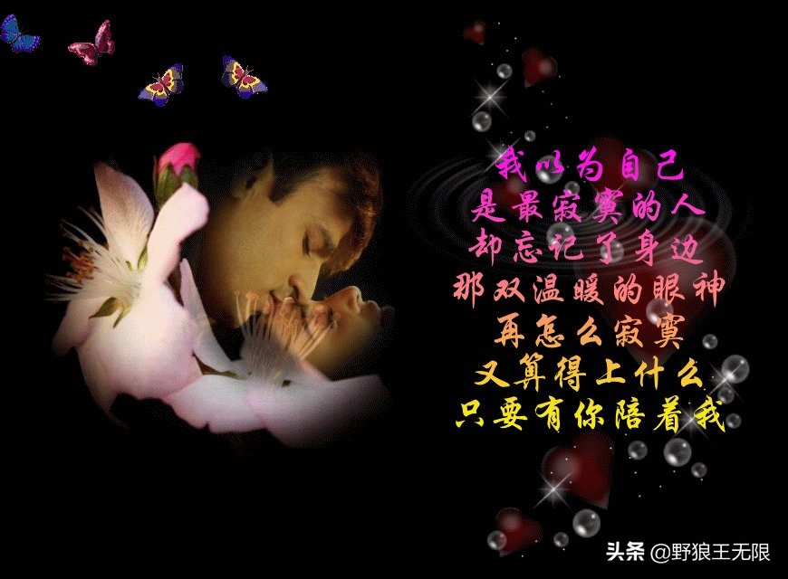 一颗心一份情一句话,一段情始于心动一份爱止于心冷