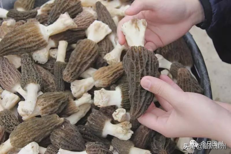 四川金堂哪里好玩,四川金堂是怎样一个城市