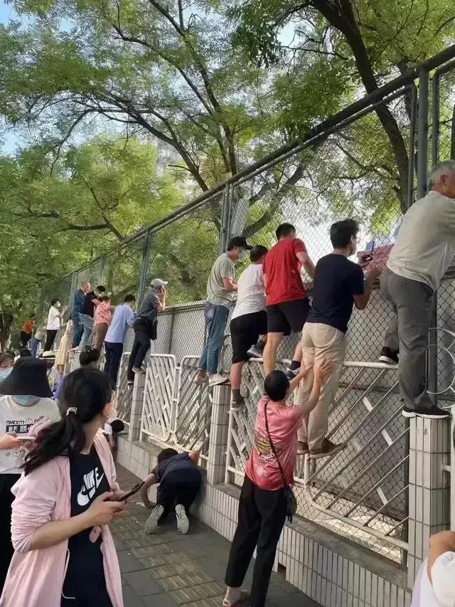 11种童年的零食你吃过哪几种,回忆童年校园经典怀旧休闲零食