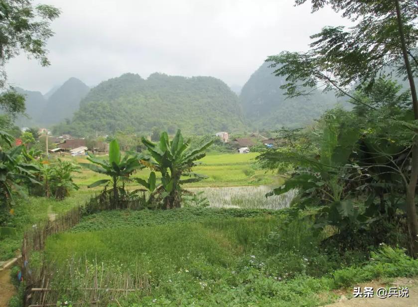 越南老兵重回当年战斗过的洞穴 (越南老兵回忆丛林战争)